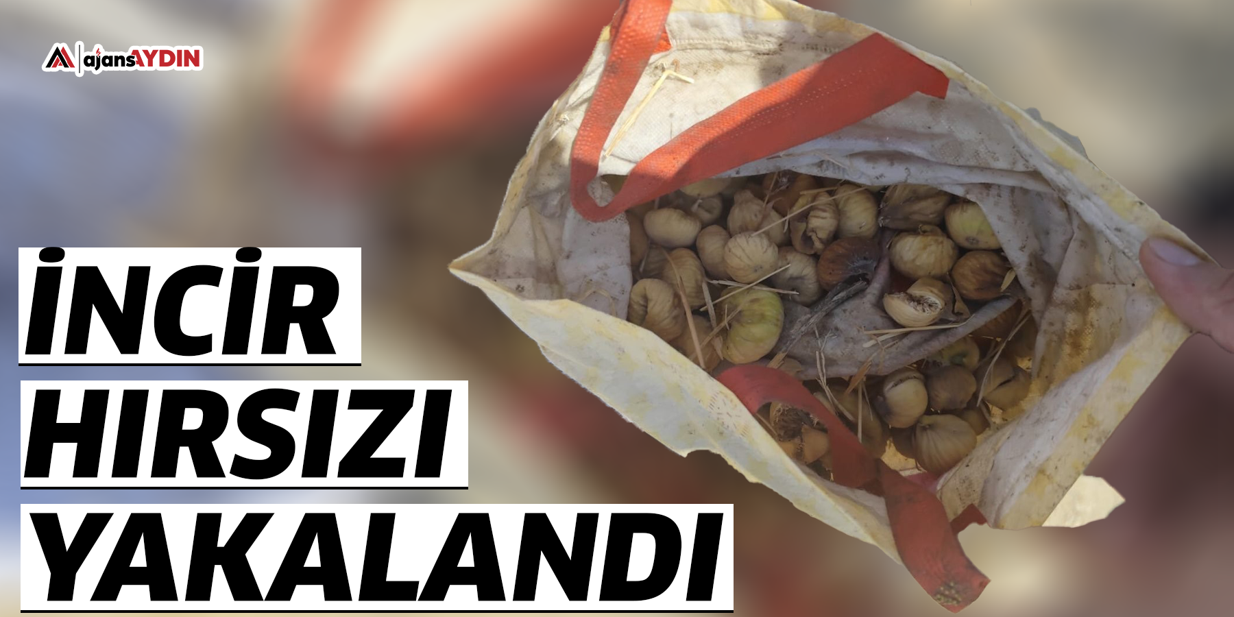 İncir hırsızı yakalandı