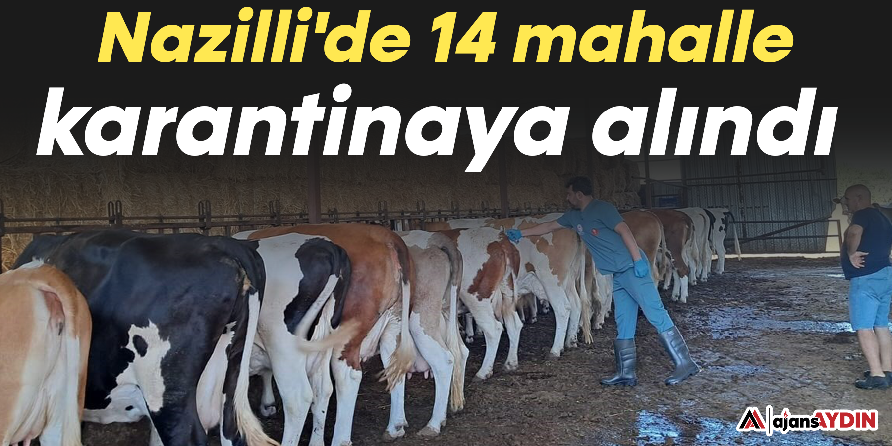 Nazilli'de 14 mahalle karantinaya alındı
