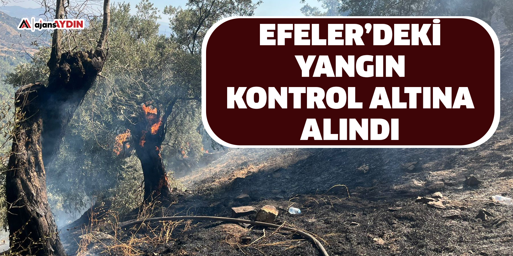 Aydın'da zirai alan yangını: 30 dönüm alan zarar gördü