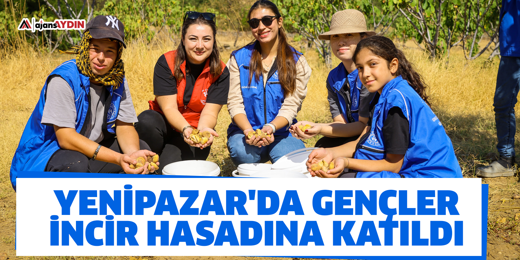 Yenipazar'da gençler incir hasadına katıldı