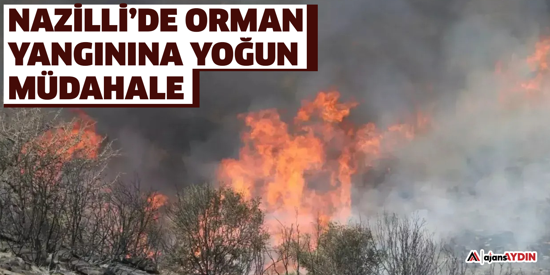 Nazilli’de Orman Yangınına Yoğun Müdahale