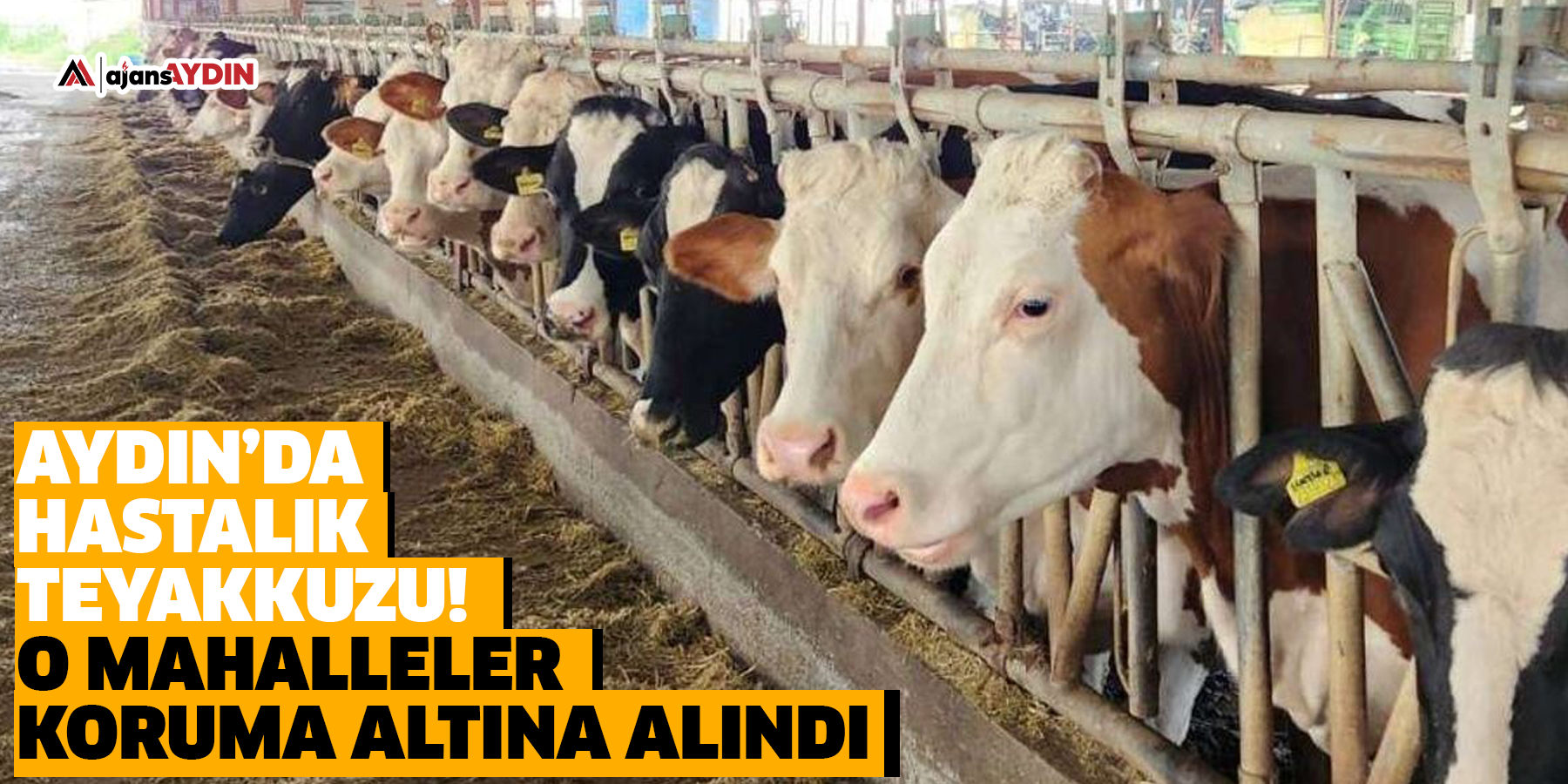 Aydın’da hastalık teyakkuzu!   O mahalleler koruma altına alındı