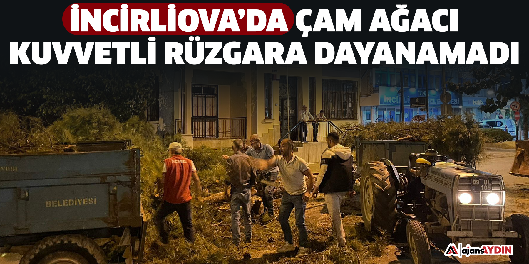 İncirliova’da çam ağacı kuvvetli rüzgara dayanamadı