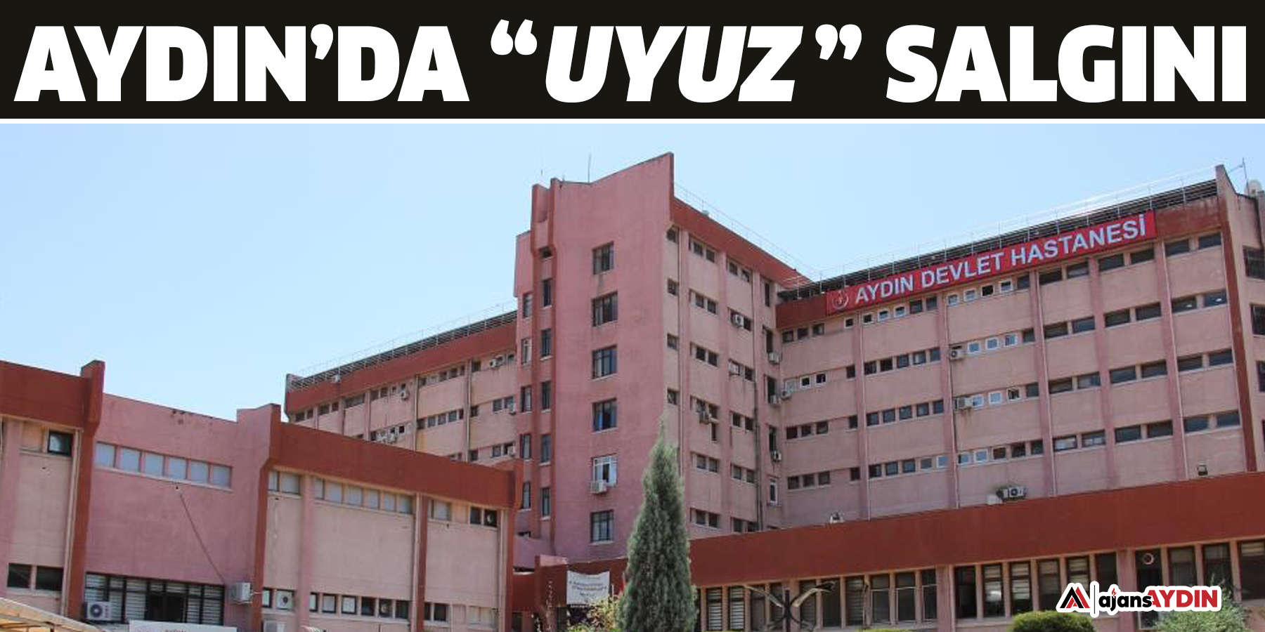 Aydın’da uyuz salgını