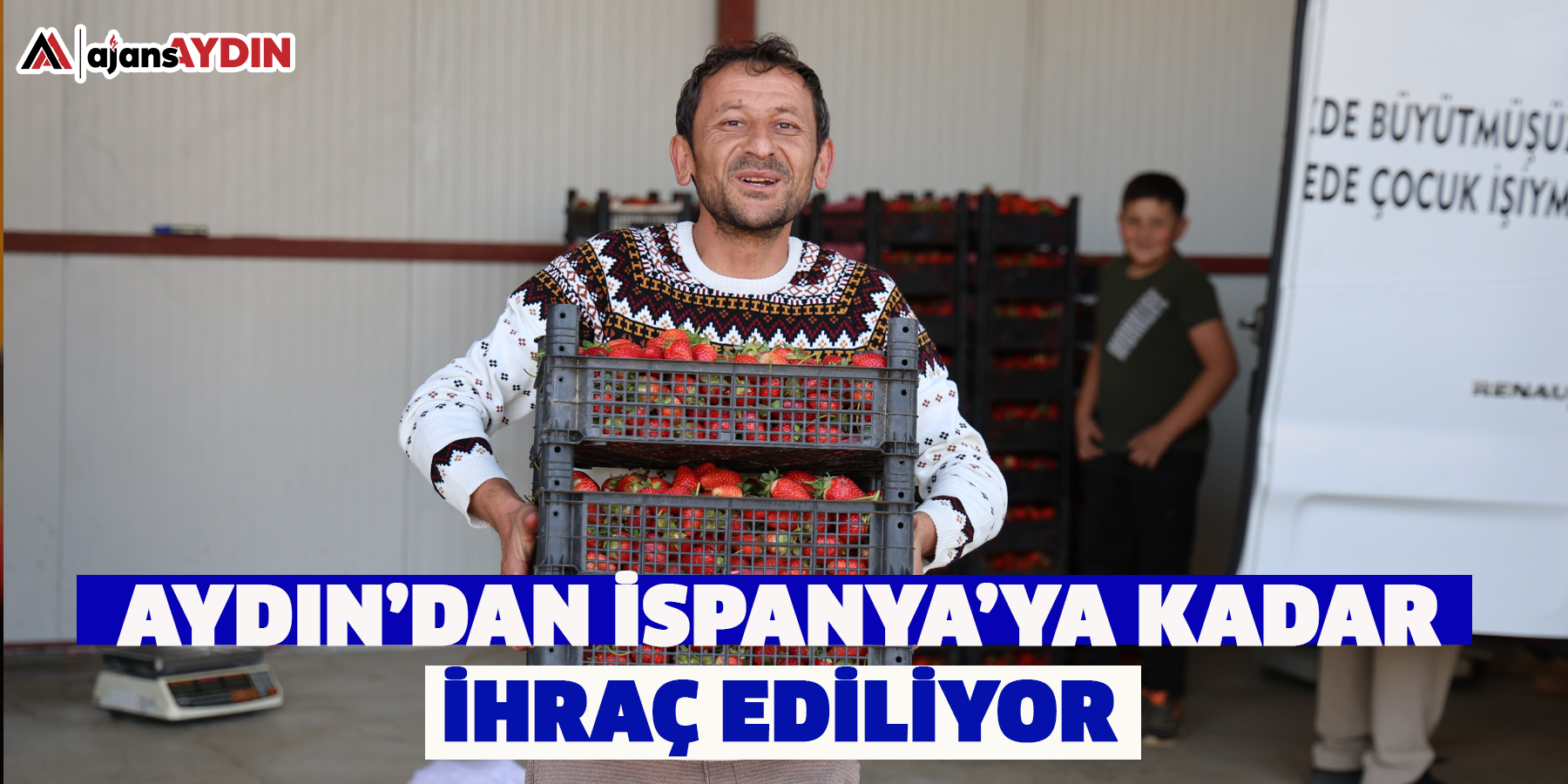 Aydın’dan İspanya’ya kadar ihraç ediliyor