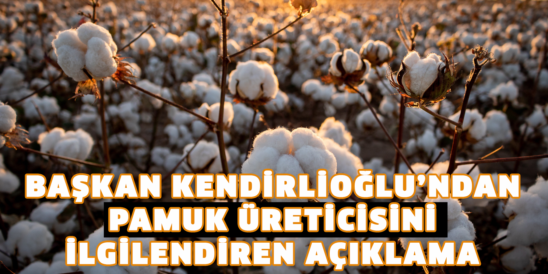 Başkan Kendirlioğlu’ndan Pamuk üreticisini ilgilendiren açıklama