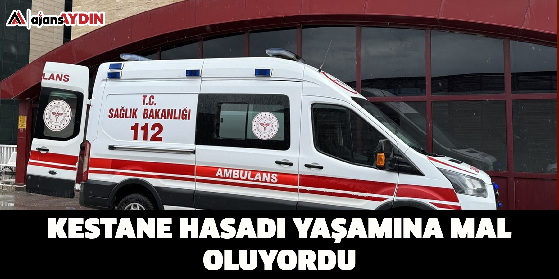 Kestane hasadı yaşamına mal oluyordu