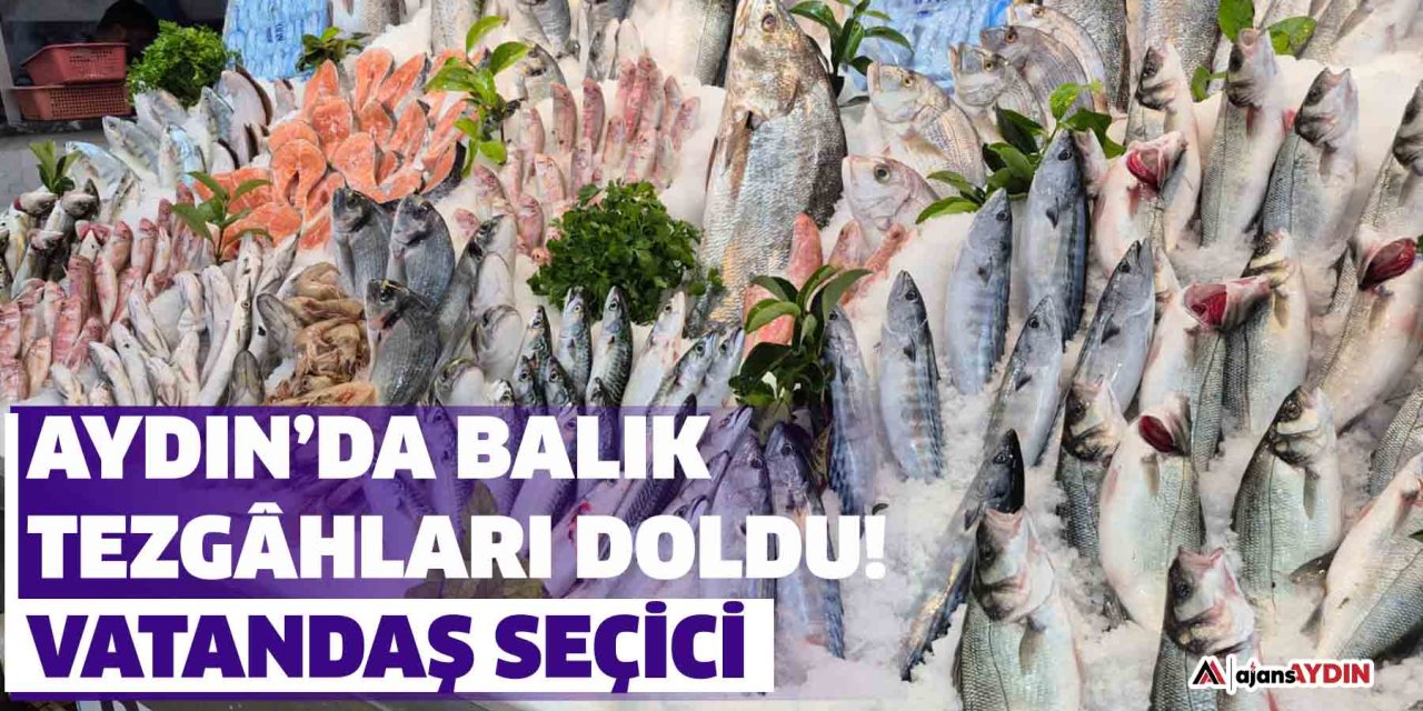 Aydın’da balık tezgâhları doldu!  Vatandaş seçici
