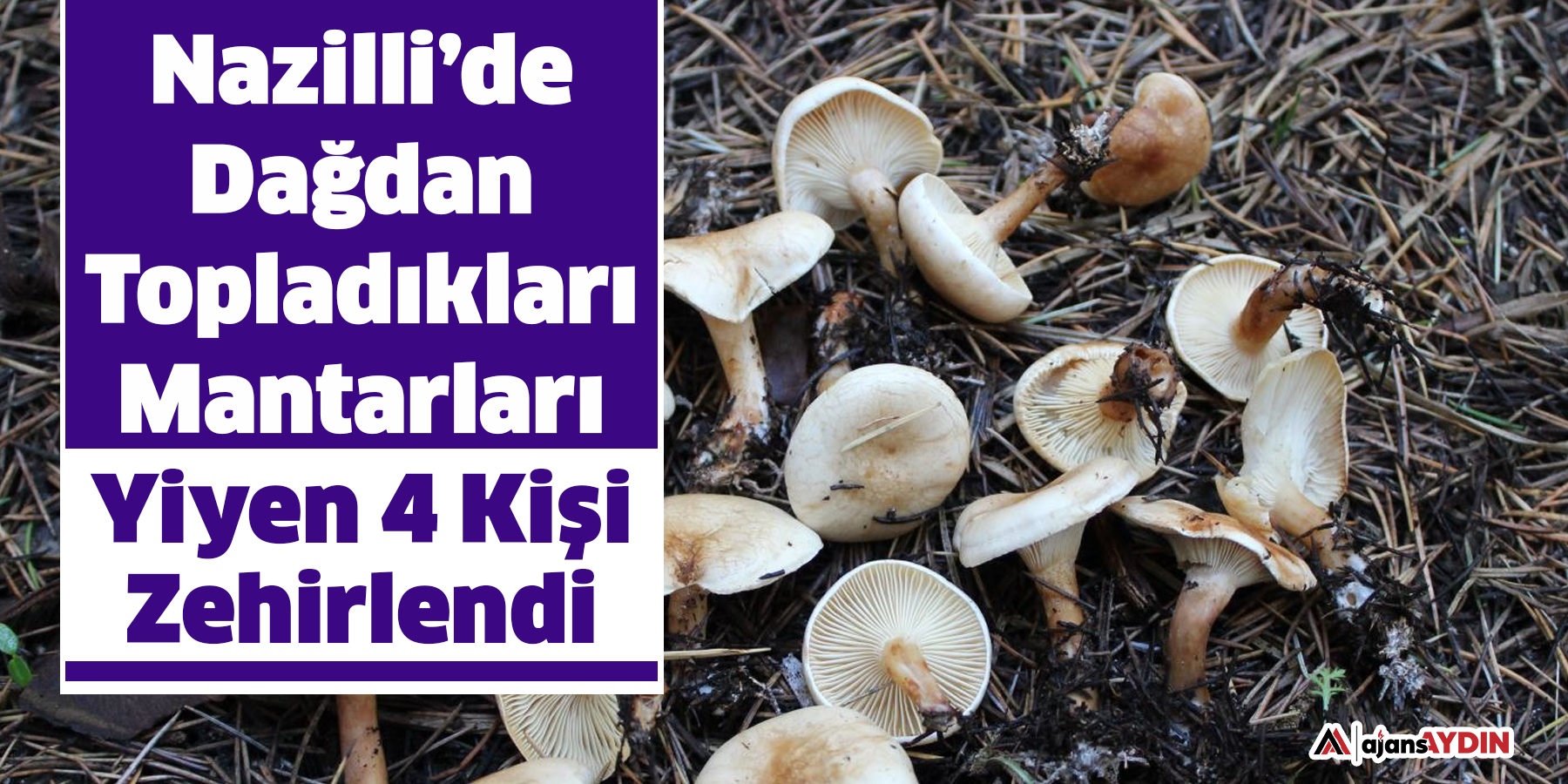Nazilli’de Dağdan Topladıkları Mantarları Yiyen 4 Kişi Zehirlendi