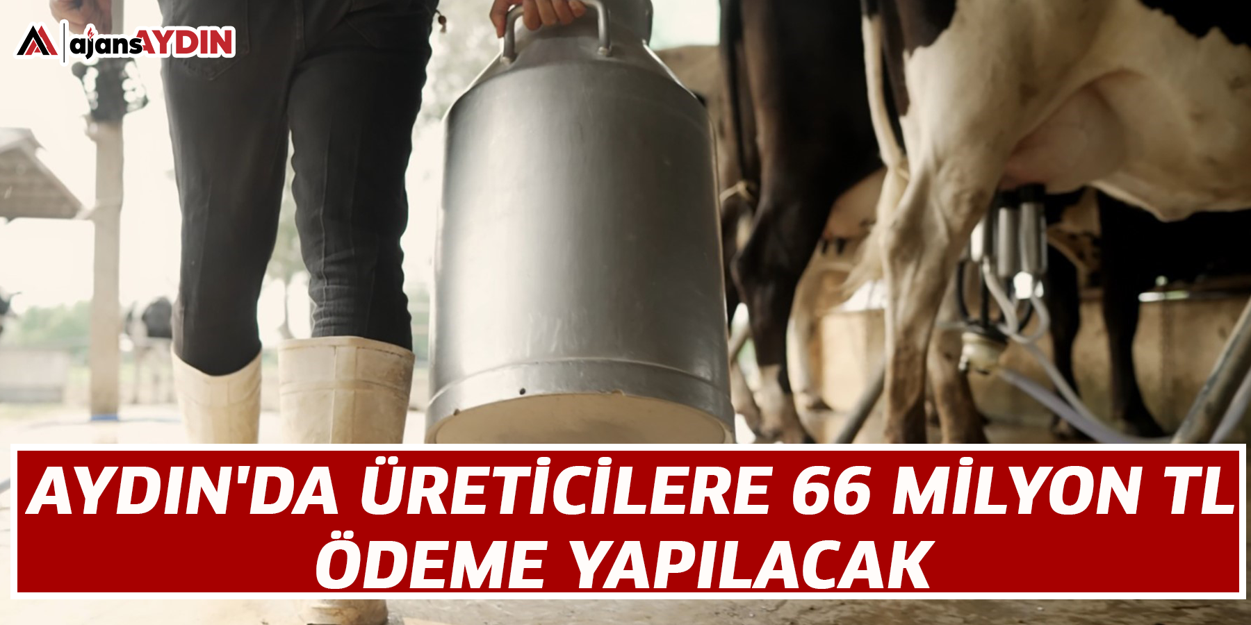 Aydın'da üreticilere 66 milyon TL ödeme yapılacak