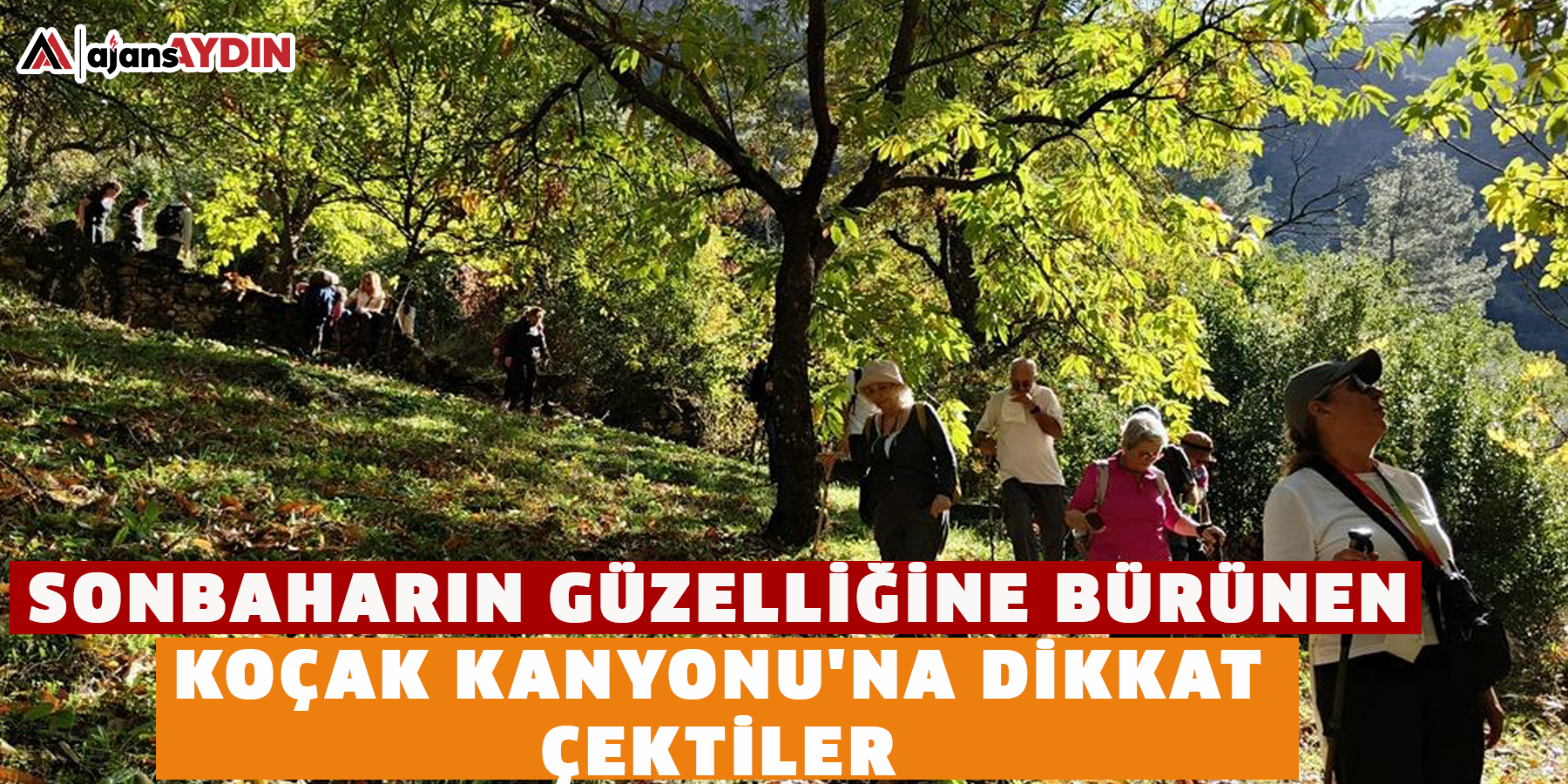 Sonbaharın güzelliğine bürünen Koçak Kanyonu'na dikkat çektiler