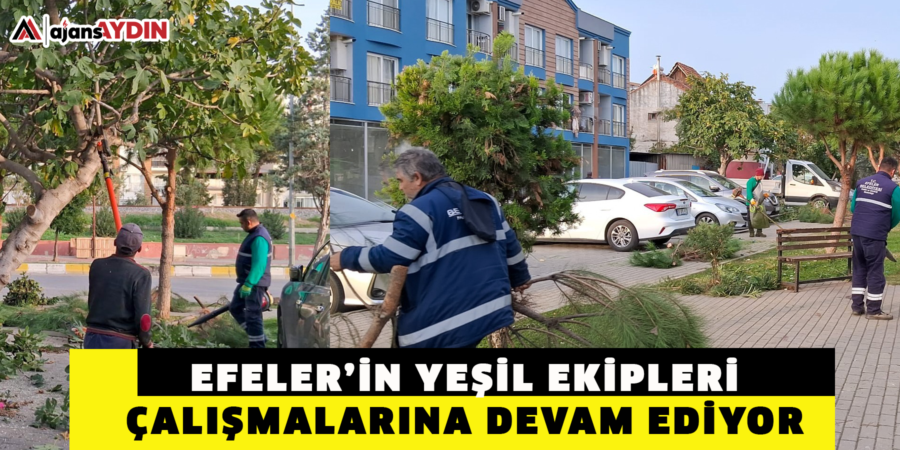 EFELER’İN YEŞİL EKİPLERİ ÇALIŞMALARINA DEVAM EDİYOR
