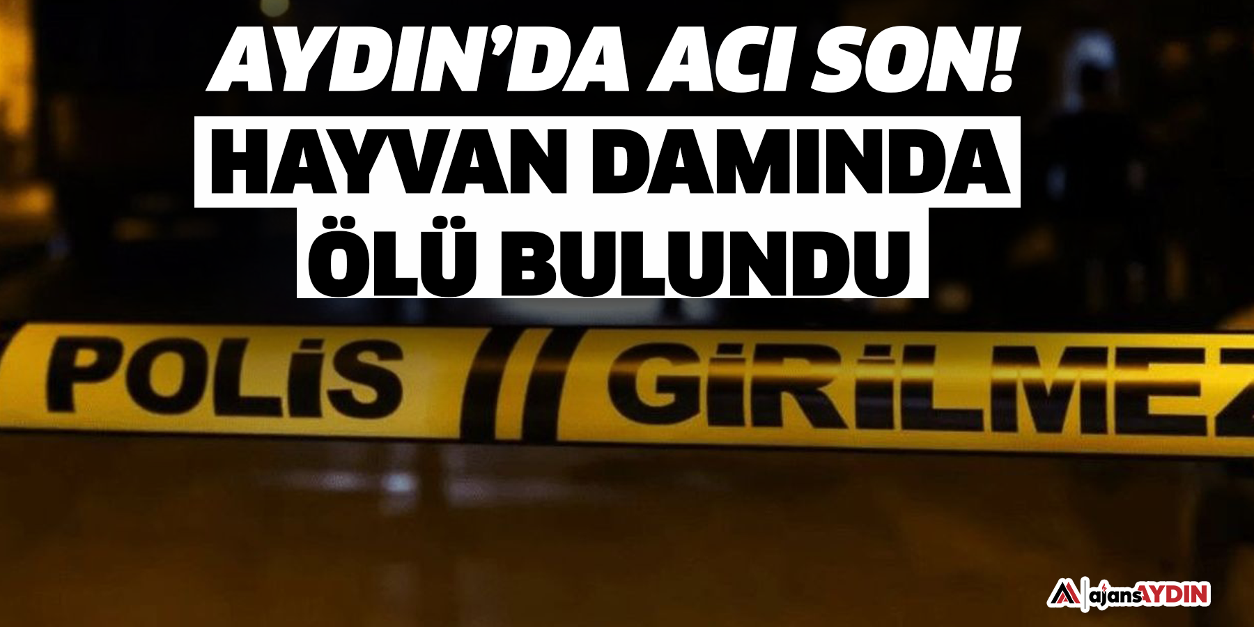 Aydın’da acı son! Hayvan damında ölü bulundu
