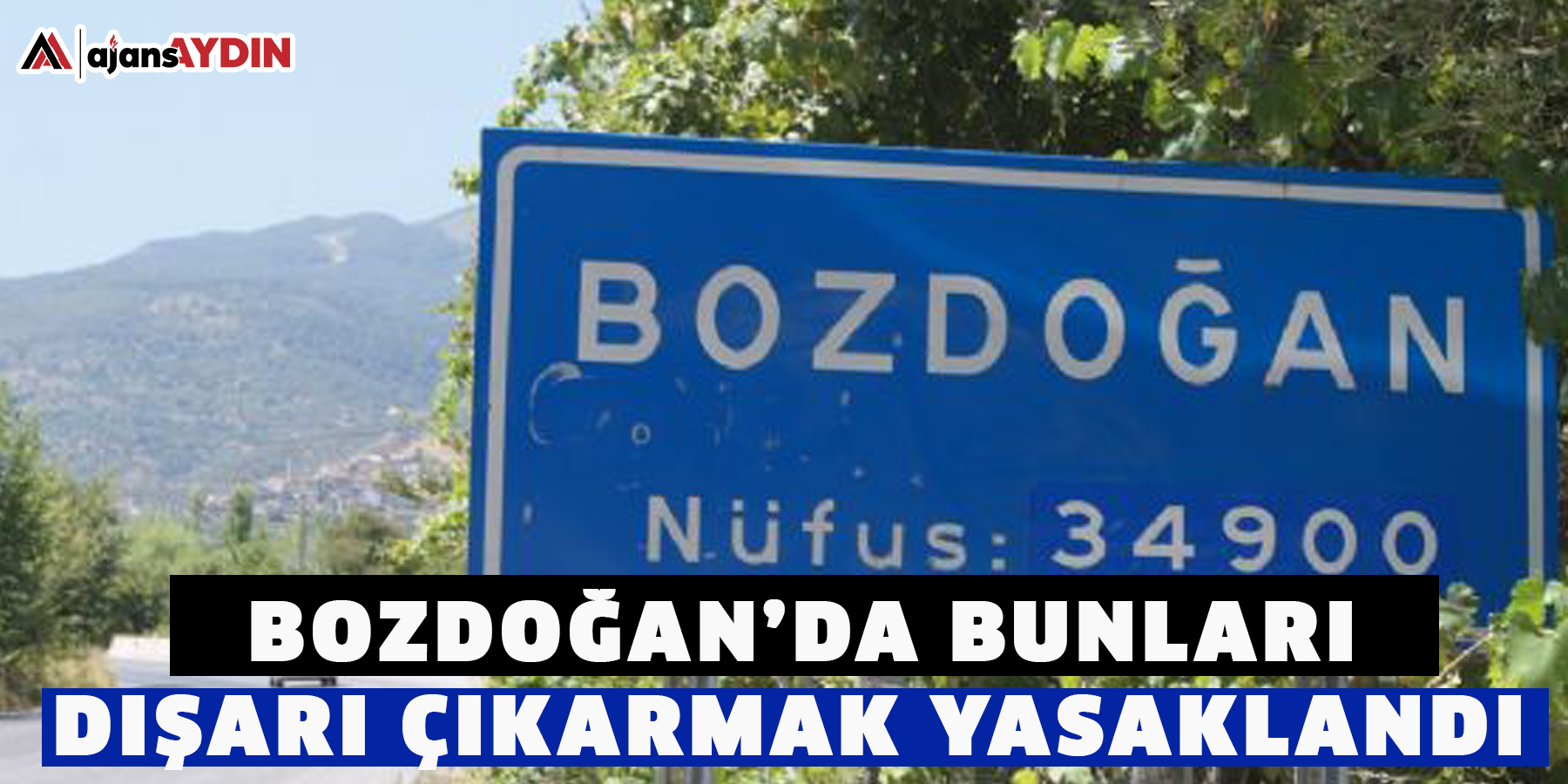 Bozdoğan’da bunları dışarı çıkarmak yasaklandı