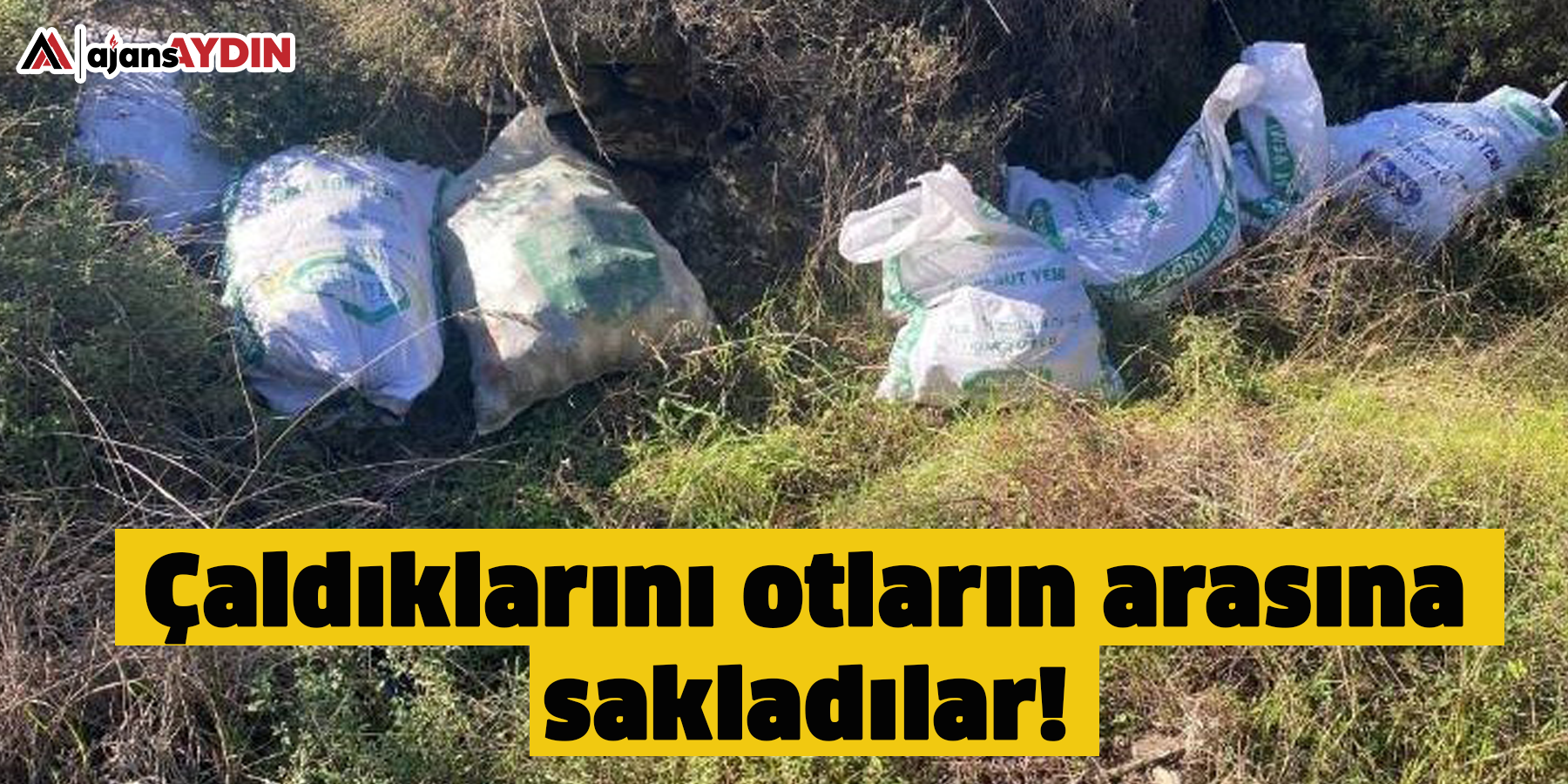 Çaldıklarını otların arasına sakladılar!