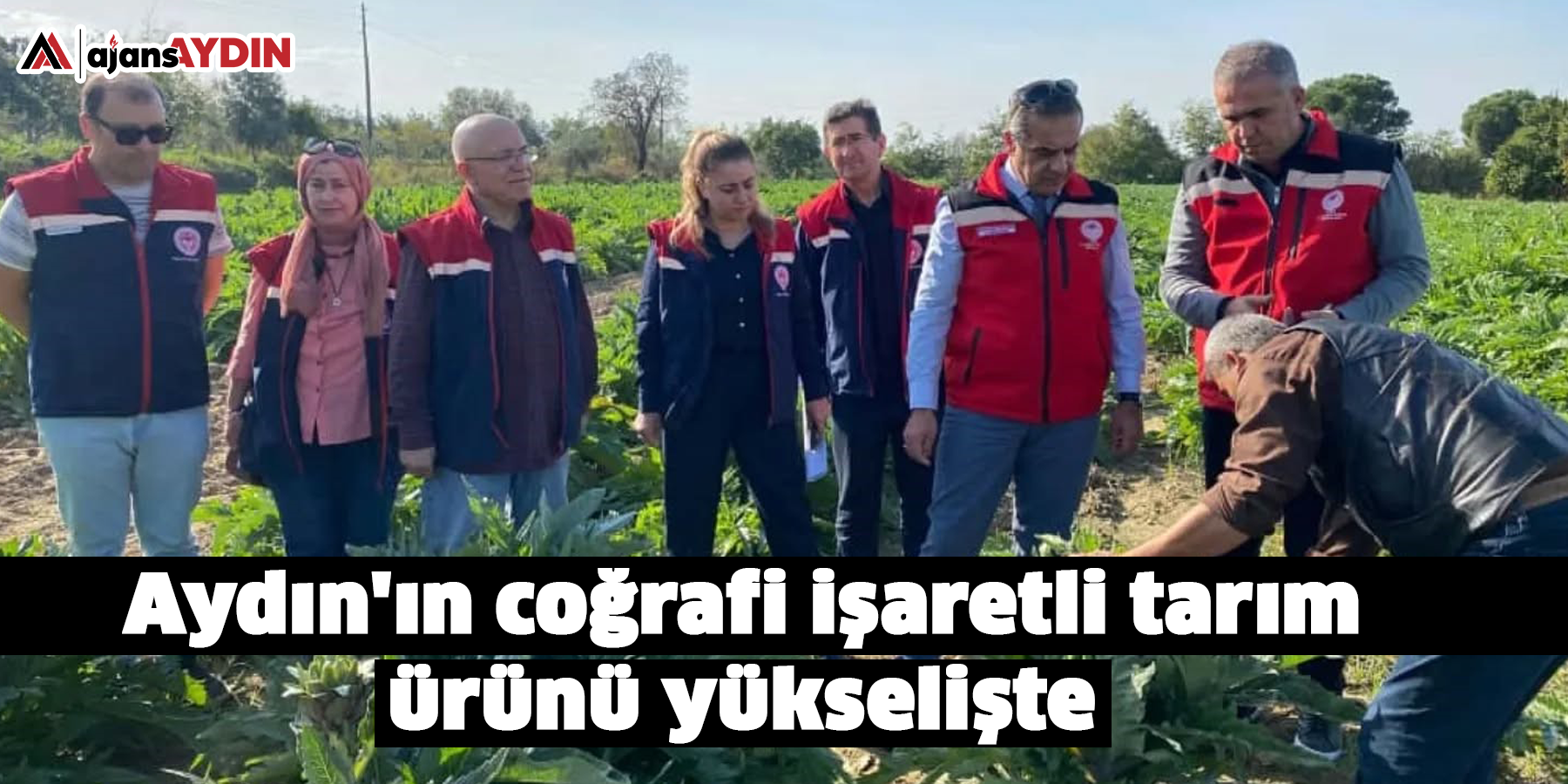 Aydın'ın coğrafi işaretli tarım ürünü yükselişte