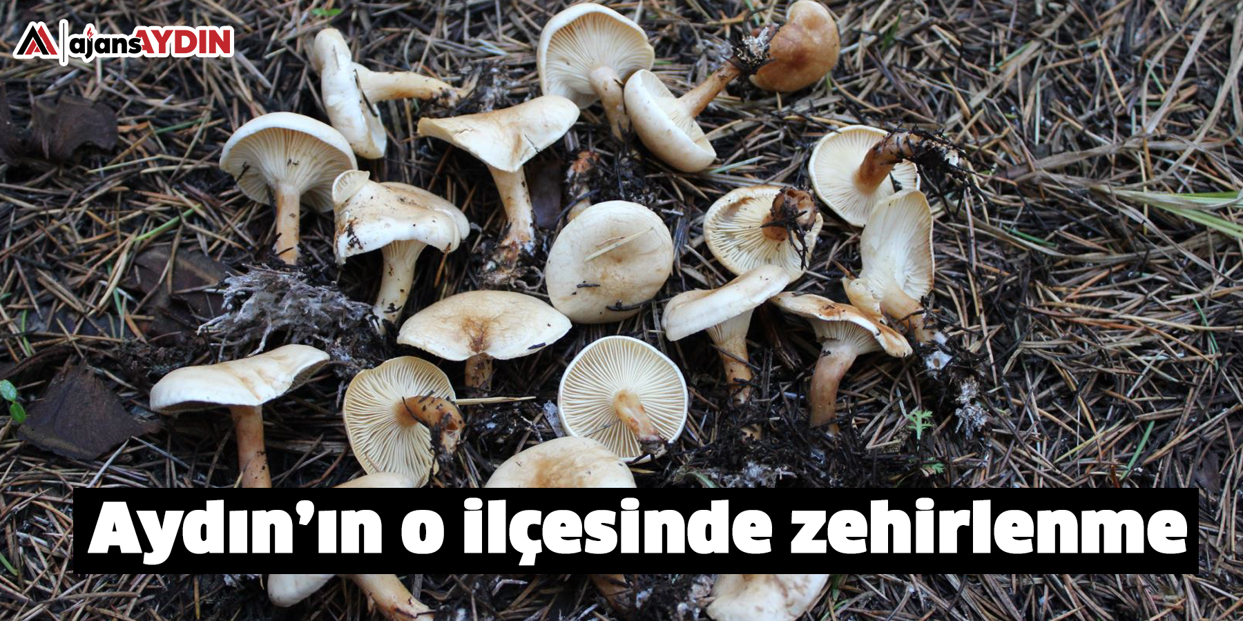 Aydın’ın o ilçesinde zehirlenme