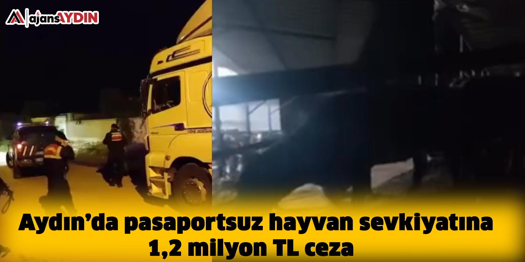 Aydın’da pasaportsuz hayvan sevkiyatına 1,2 milyon TL ceza