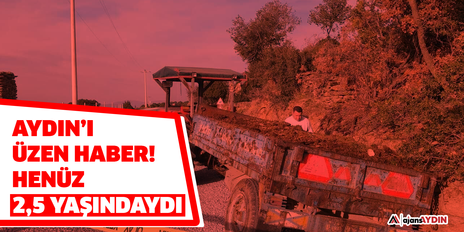Aydın’ı üzen haber!  Henüz 2,5 yaşındaydı