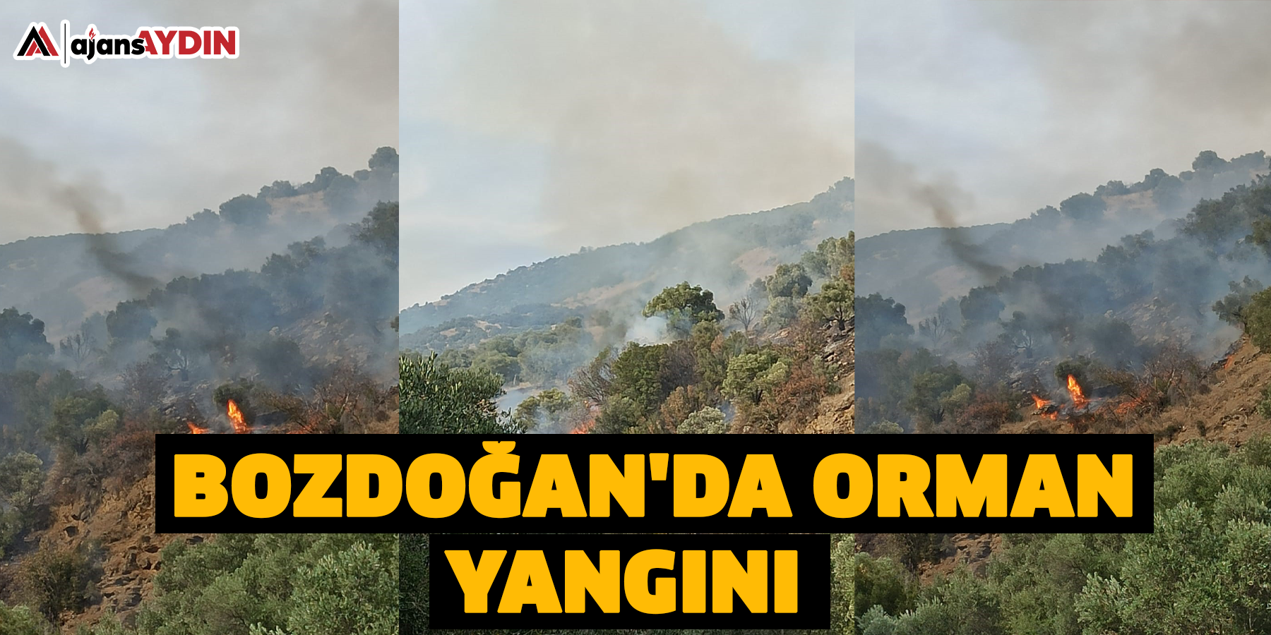 Bozdoğan'da orman yangını