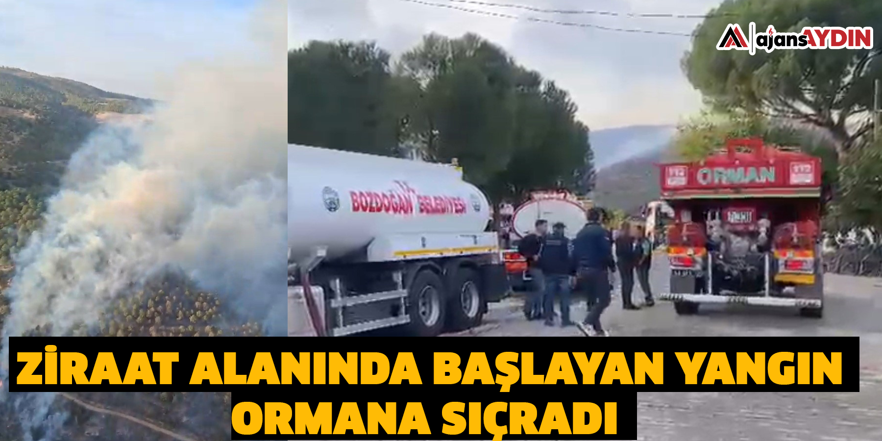 Ziraat alanında başlayan yangın ormana sıçradı