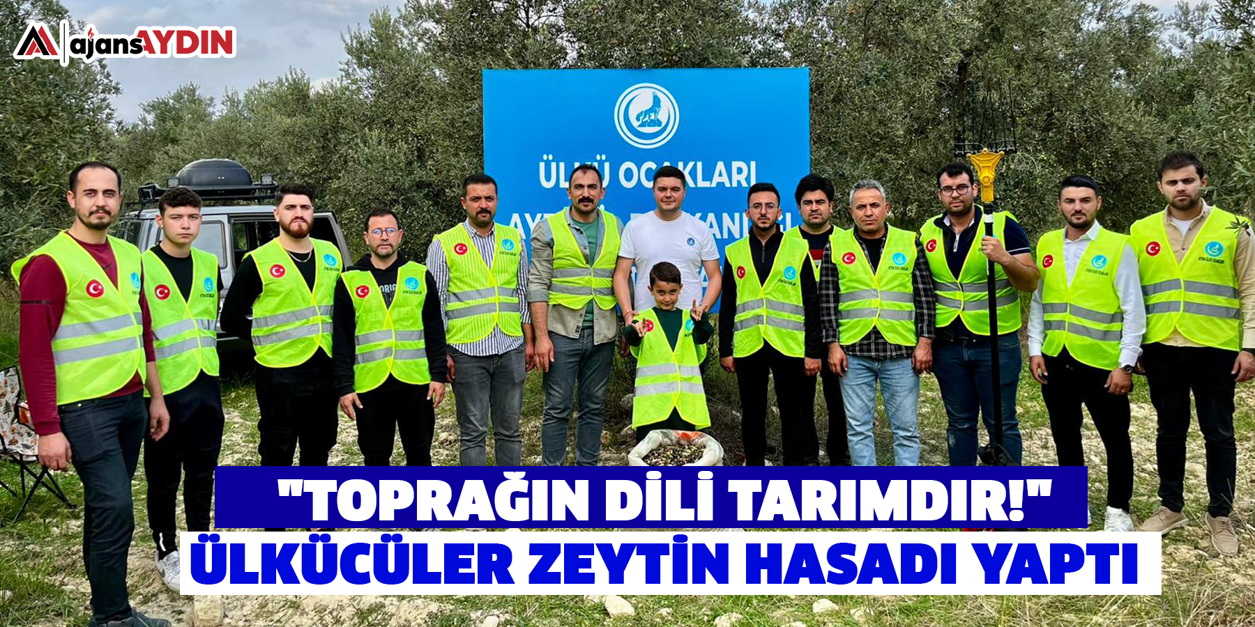 "TOPRAĞIN DİLİ TARIMDIR!" ÜLKÜCÜLER ZEYTİN HASADI YAPTI