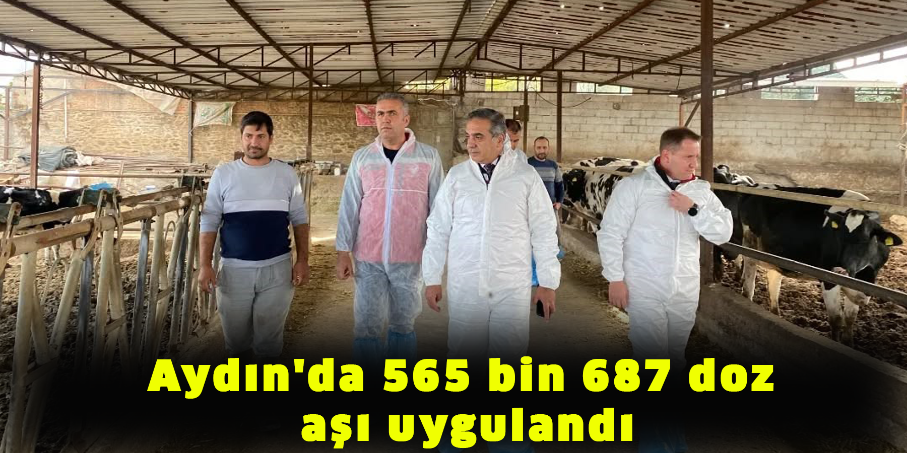 Aydın'da 565 bin 687 doz aşı uygulandı
