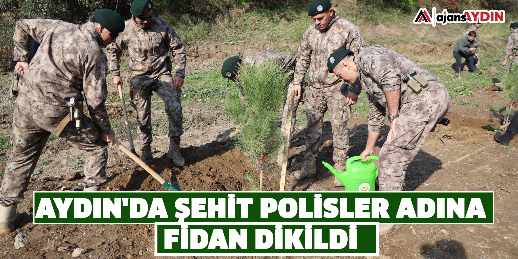 Aydın'da şehit polisler adına fidan dikildi