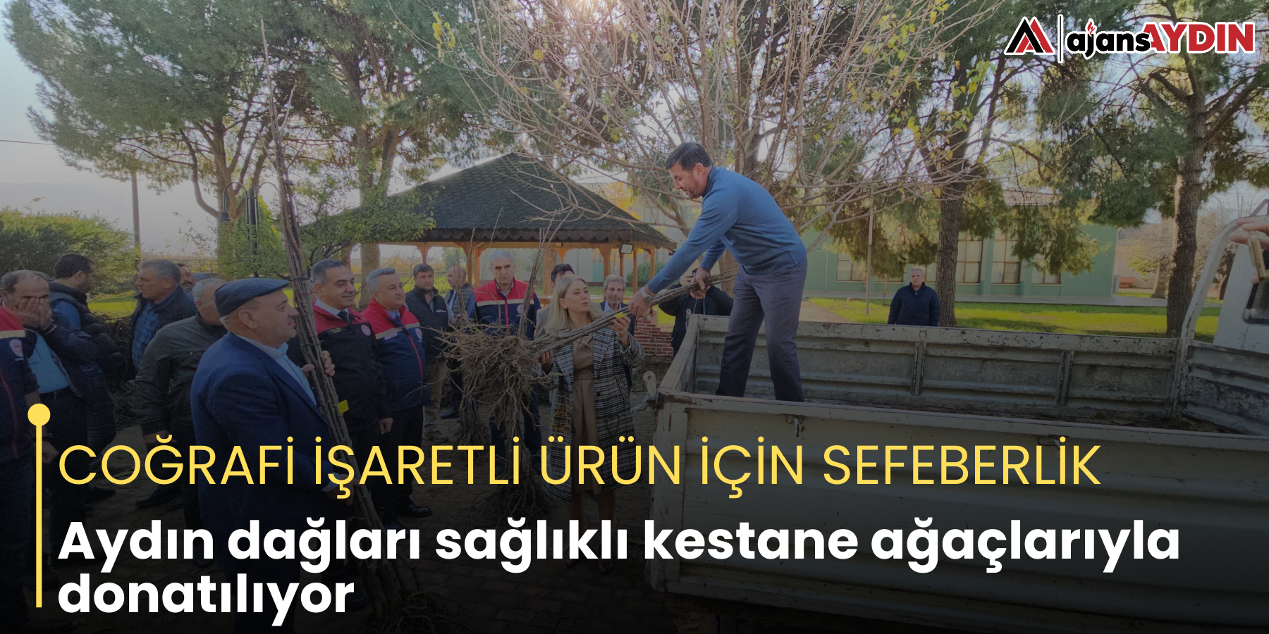 COĞRAFİ İŞARETLİ ÜRÜN İÇİN SEFEBERLİK  Aydın dağları sağlıklı kestane ağaçlarıyla donatılıyor