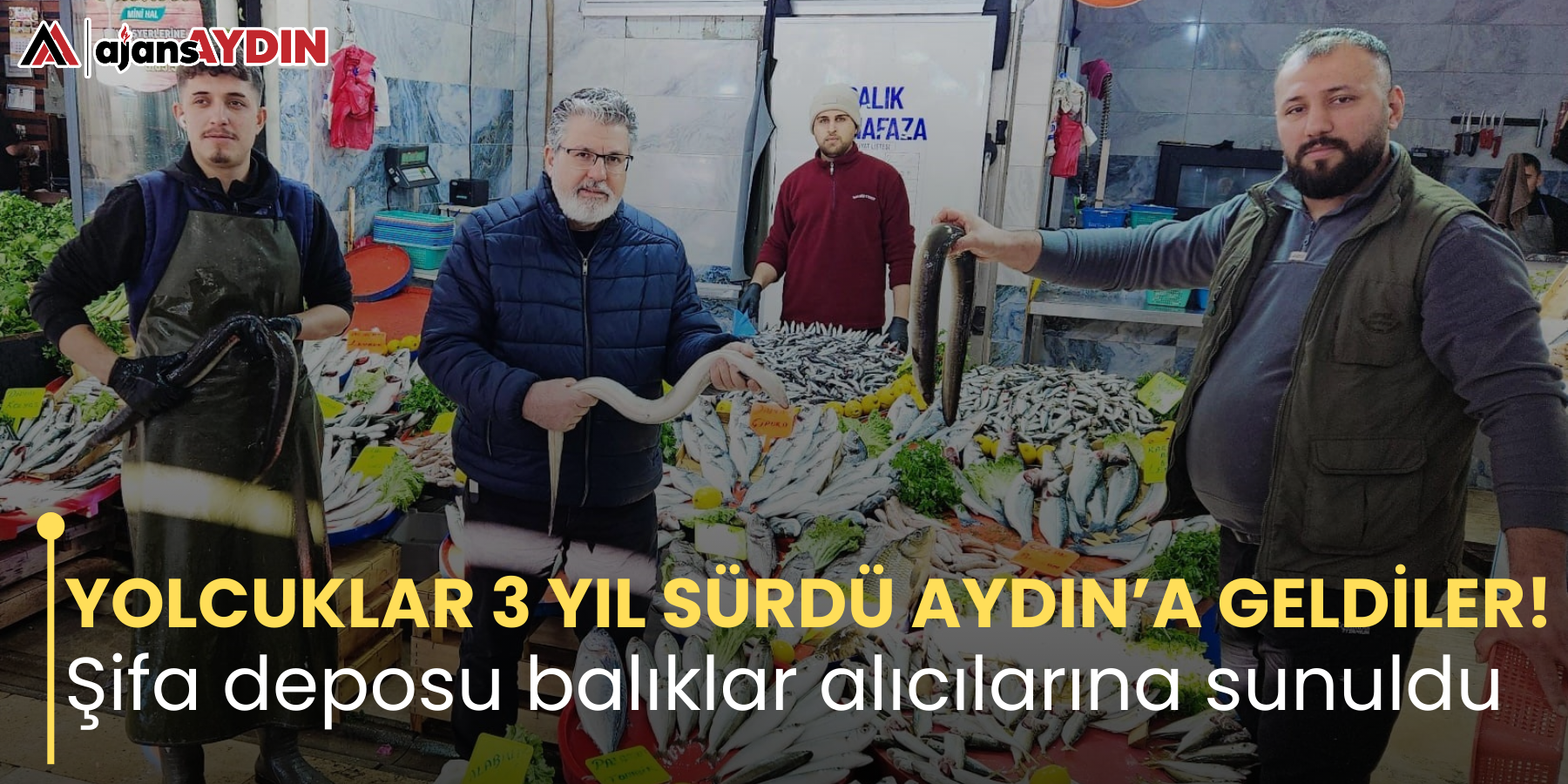 YOLCUKLAR 3 YIL SÜRDÜ AYDIN’A GELDİLER! Şifa deposu balıklar alıcılarına sunuldu