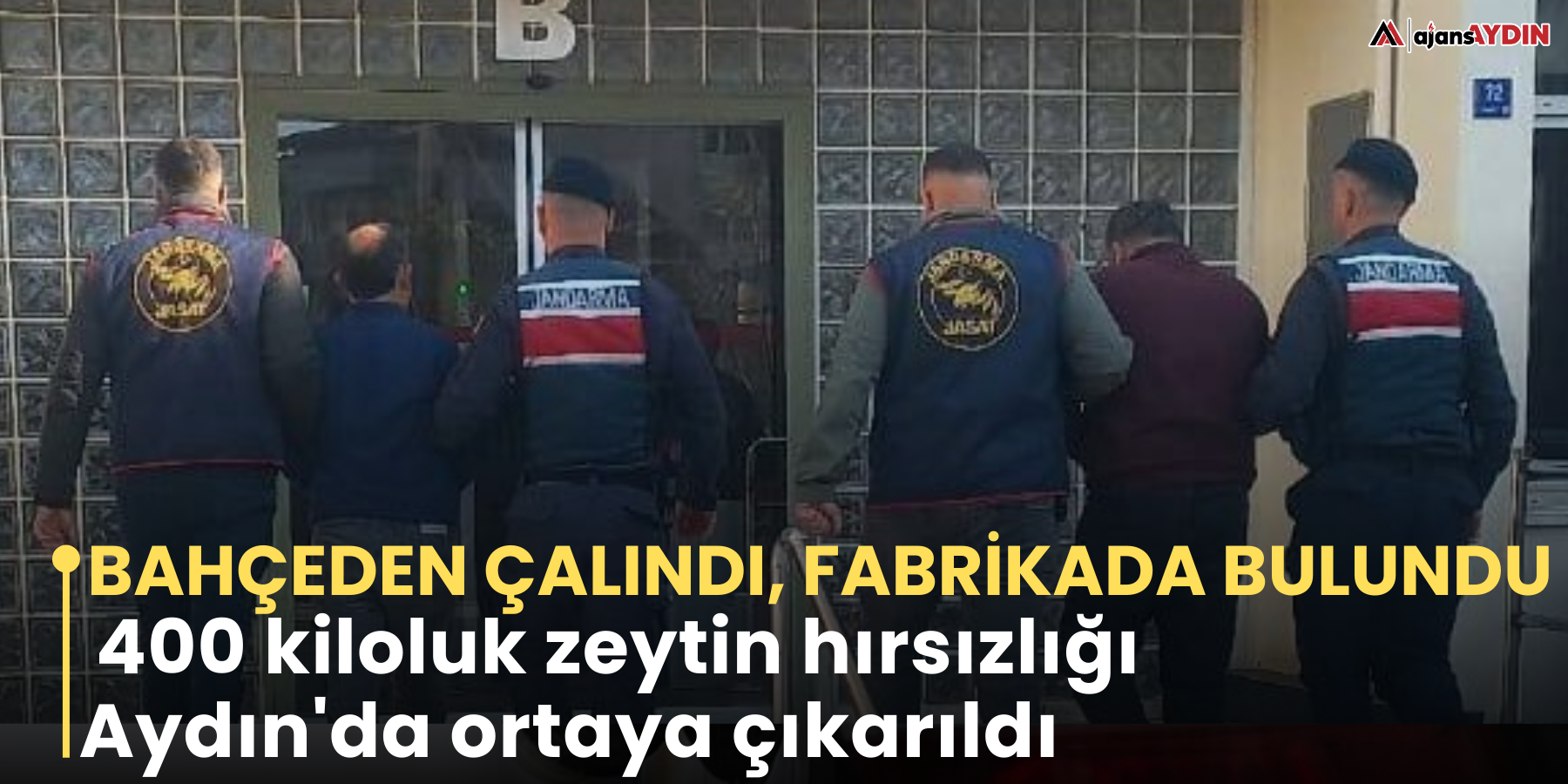 Bahçeden çalındı, fabrikada bulundu   400 kiloluk zeytin hırsızlığı Aydın'da ortaya çıkarıldı