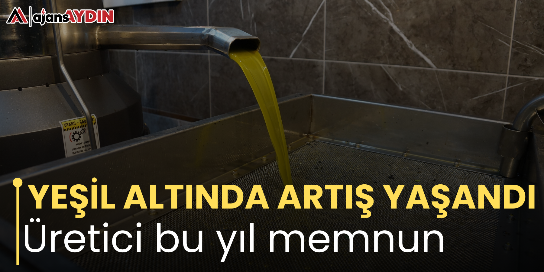 YEŞİL ALTINDA ARTIŞ YAŞANDI Üretici bu yıl memnun