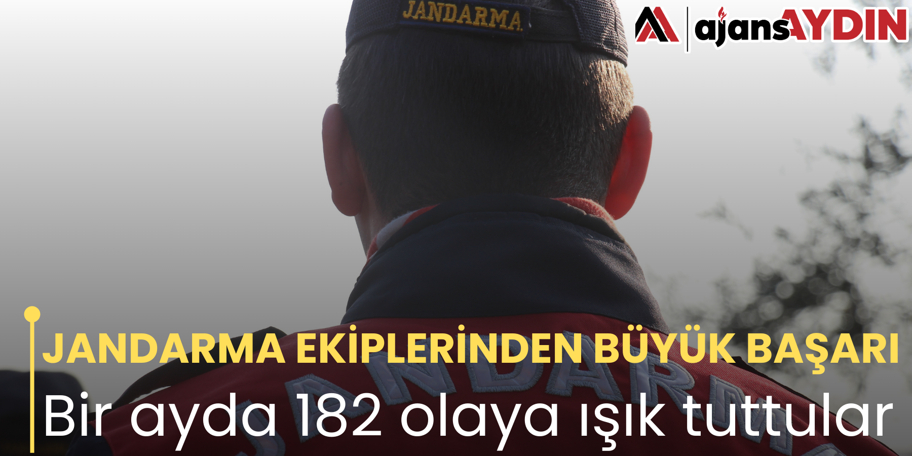 JANDARMA EKİPLERİNDEN BÜYÜK BAŞARI Bir ayda 182 olaya ışık tuttular
