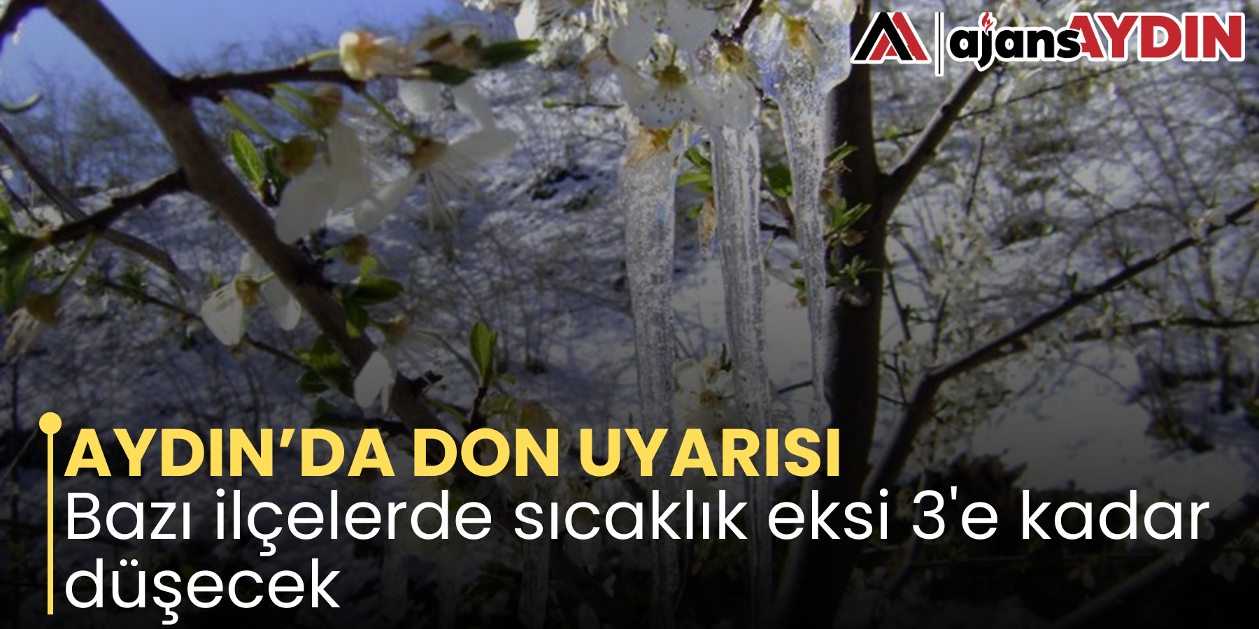 AYDIN’DA DON UYARISI Bazı ilçelerde sıcaklık eksi 3'e kadar düşecek
