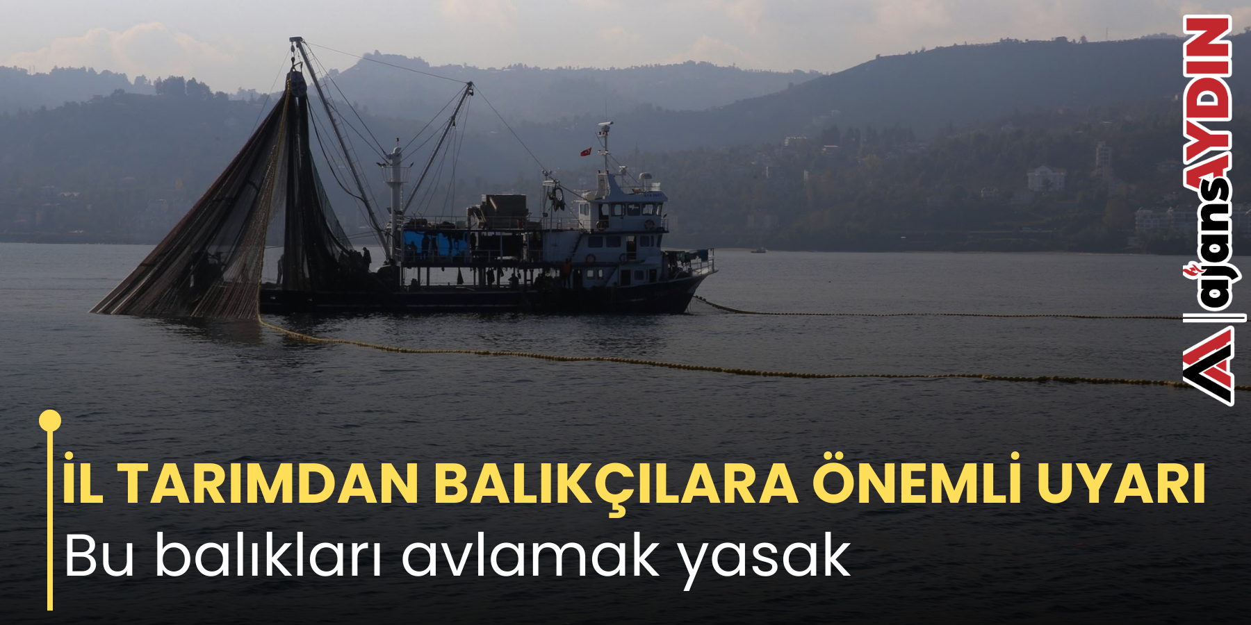 İL TARIMDAN BALIKÇILARA ÖNEMLİ UYARI    Bu balıkları avlamak yasak