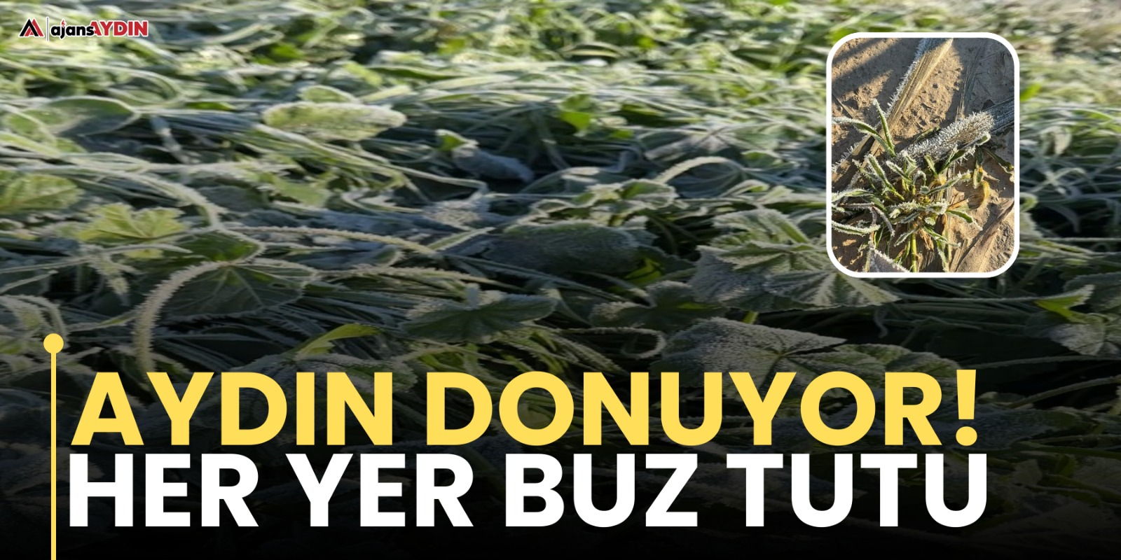 AYDIN DONUYOR Her yer buz tutuyor