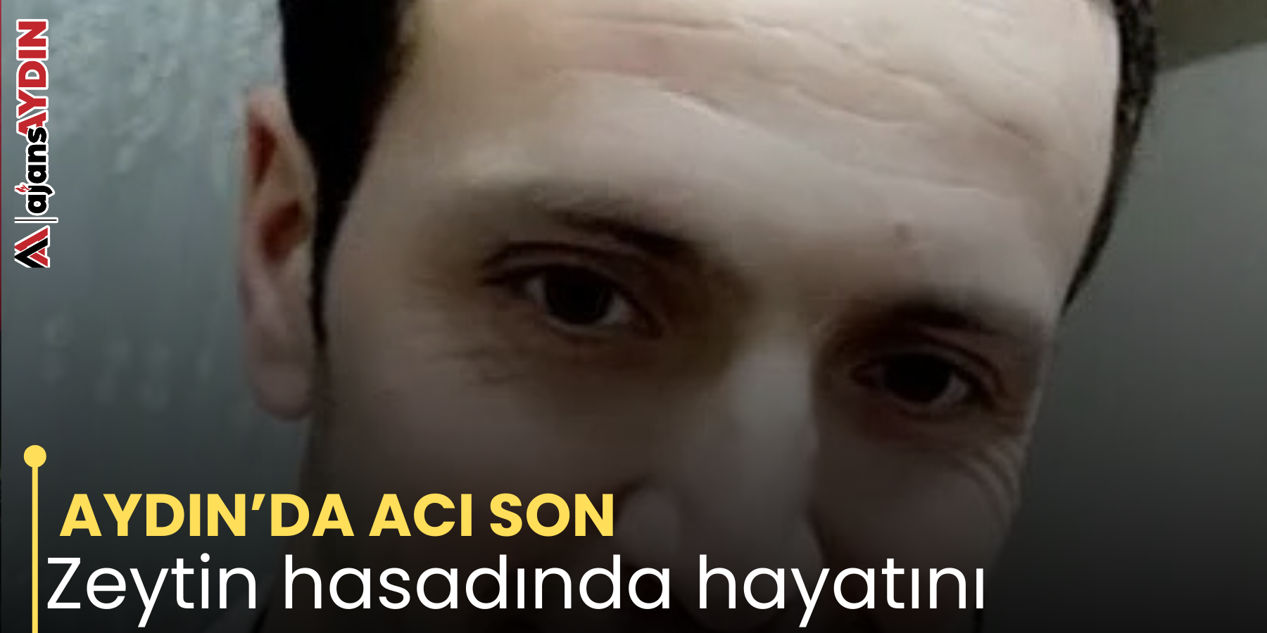 AYDIN’DA ACI SON  Zeytin hasadında hayatını kaybetti