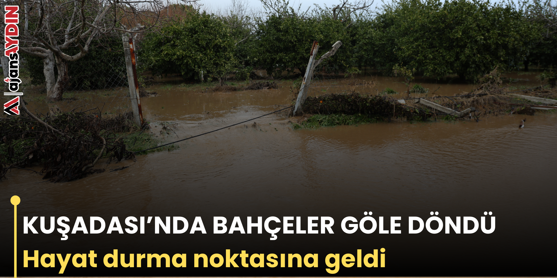 KUŞADASI’NDA BAHÇELER GÖLE DÖNDÜ  Hayat durma noktasına geldi
