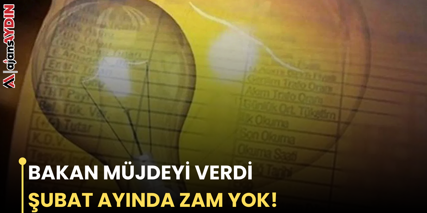 BAKAN MÜJDEYİ VERDİ ŞUBAT AYINDA ZAM YOK!