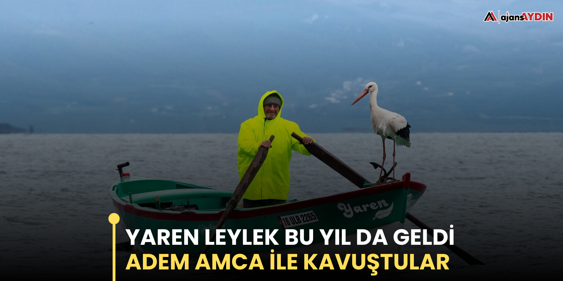 Yaren Leylek Bu Yıl da Geldi  Adem Amca İle Kavuştular