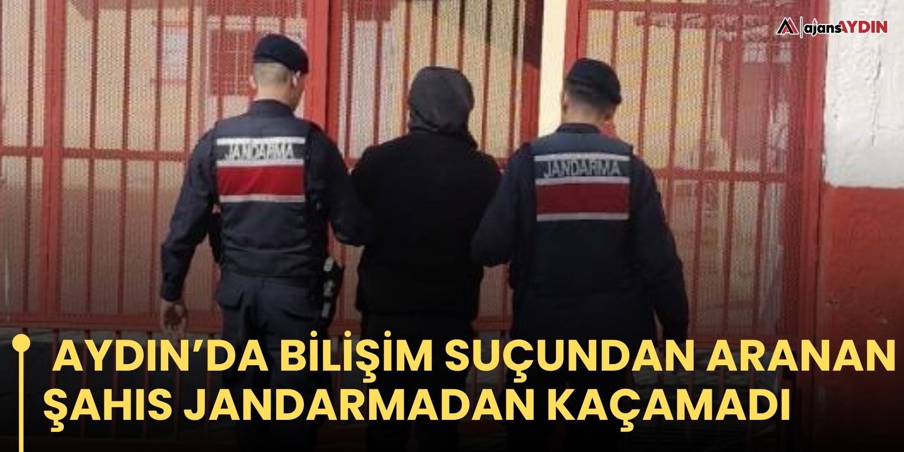Aydın'da bilişim suçundan aranan şahıs jandarmadan kaçamadı