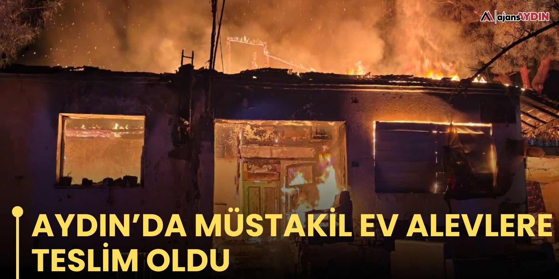 Aydın’da müstakil ev alevlere teslim oldu