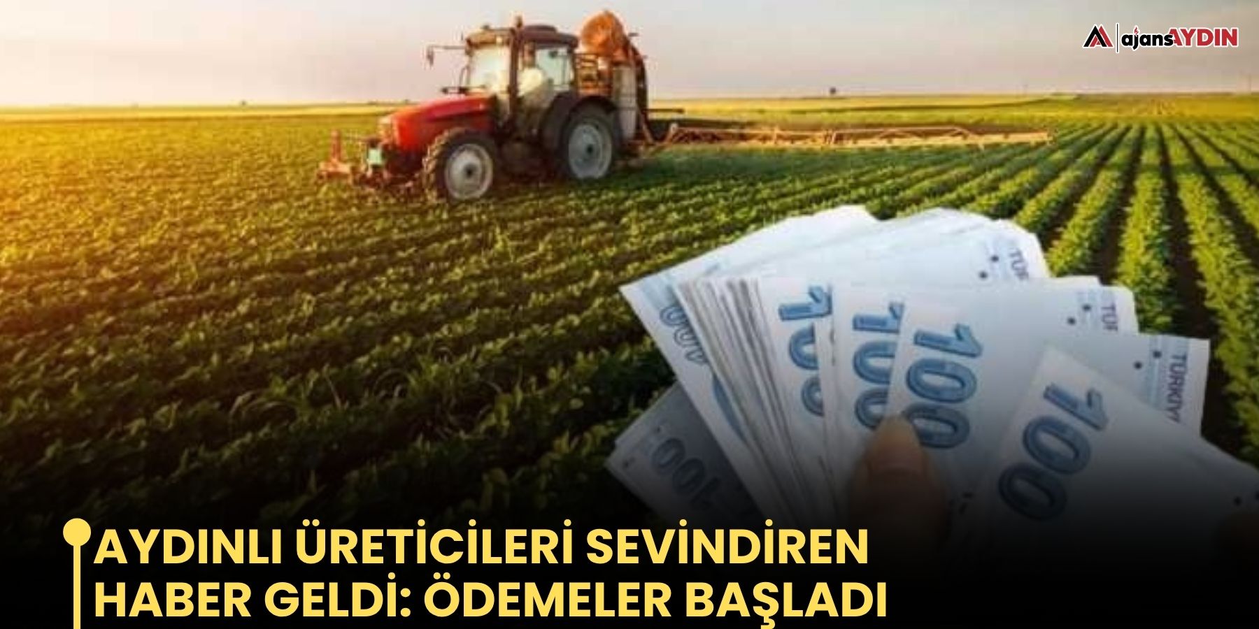 Aydınlı üreticileri sevindiren haber geldi: Ödemeler Başladı