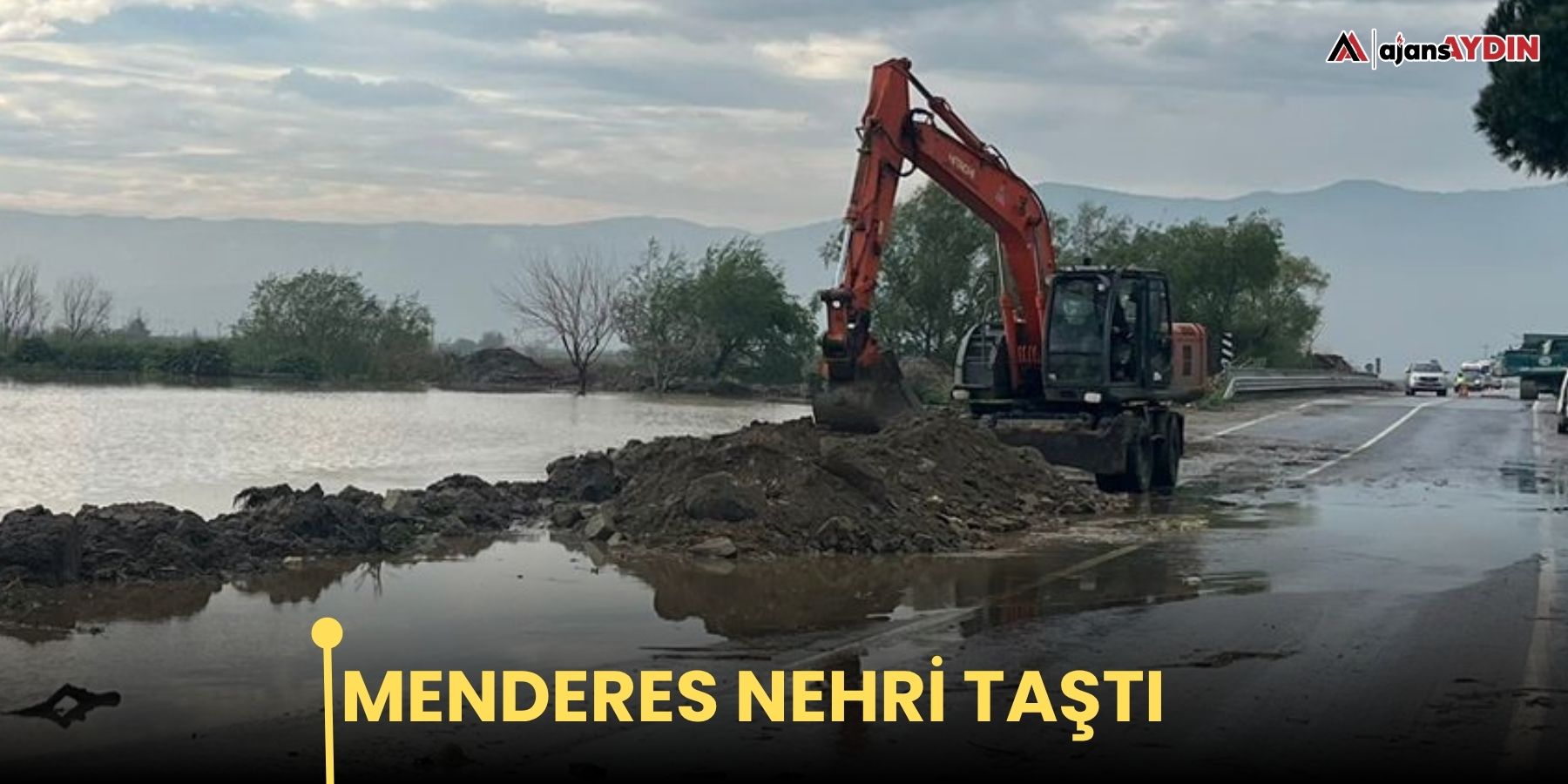 Menderes Nehri taştı