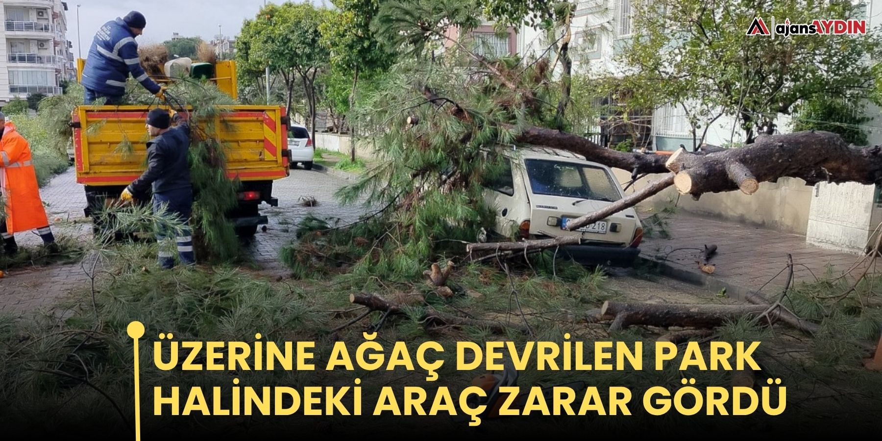 Üzerine ağaç devrilen park halindeki araç zarar gördü