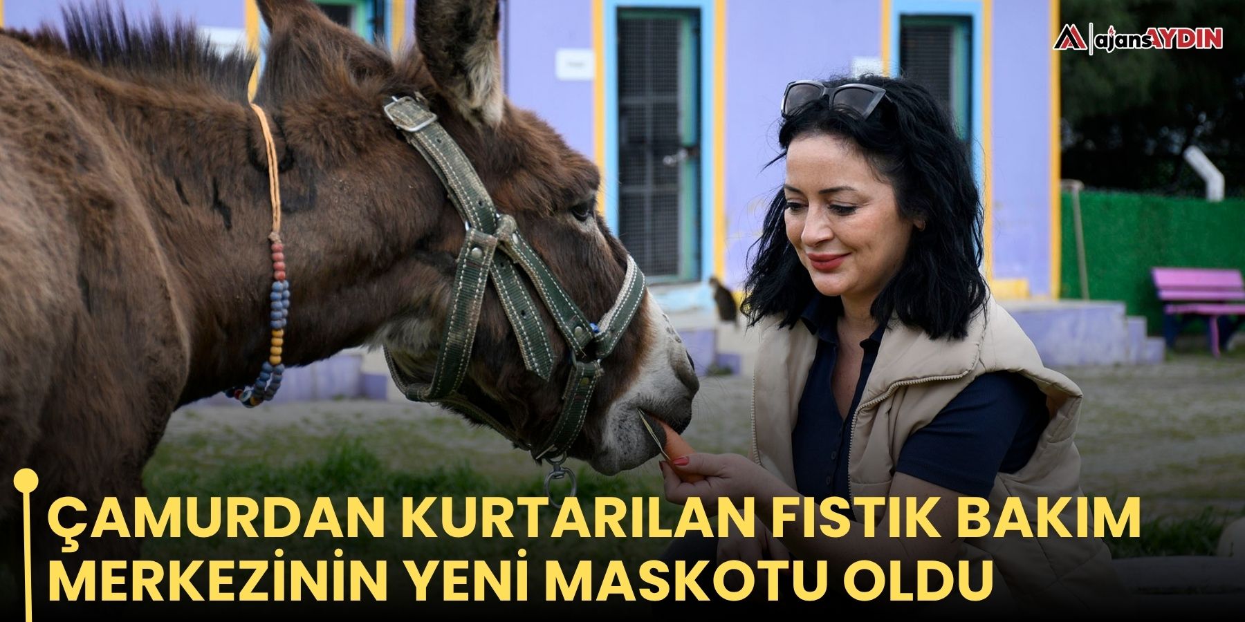 Çamurdan kurtarılan Fıstık bakım merkezinin yeni maskotu oldu