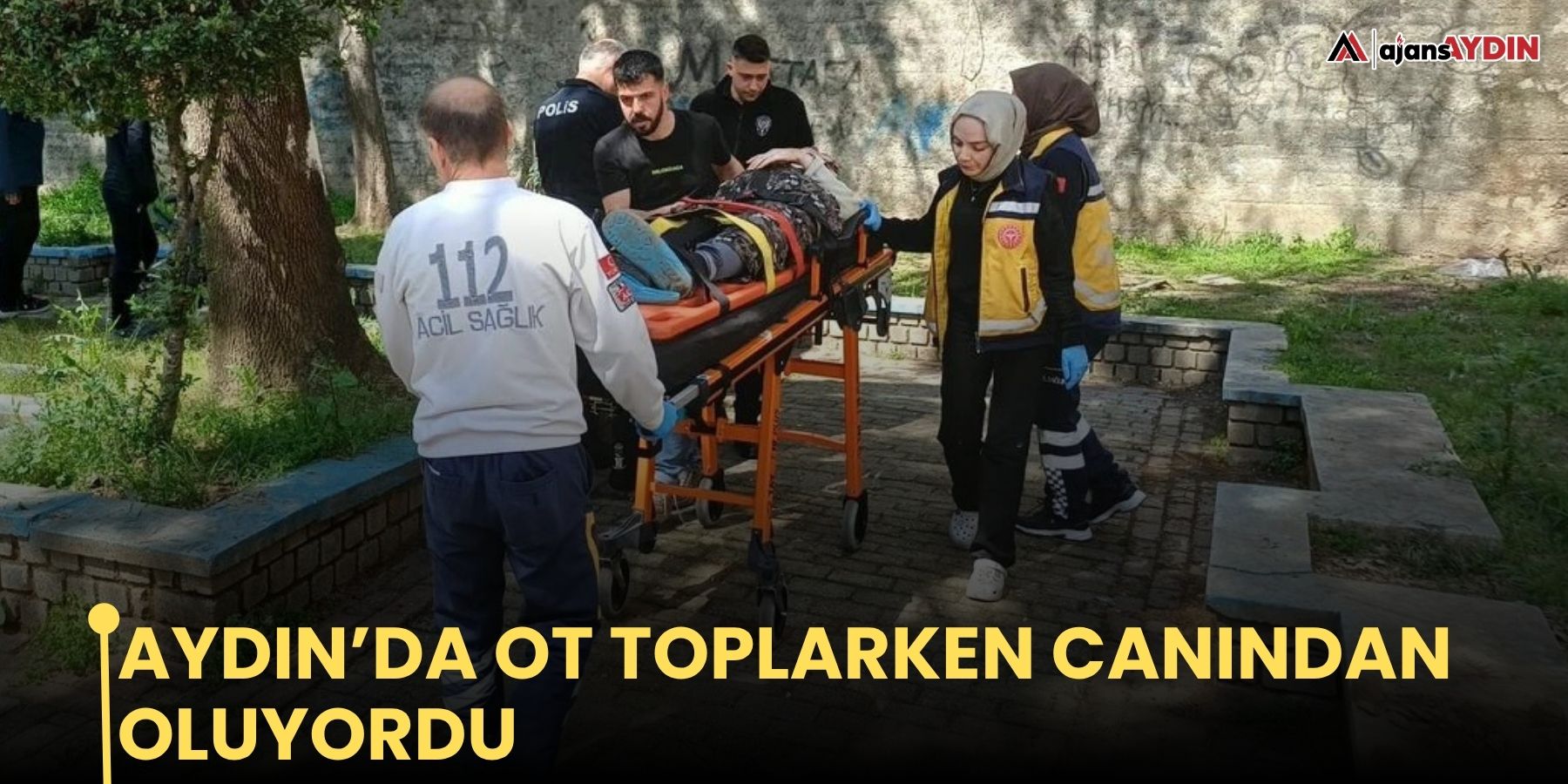 Aydın’da ot toplarken canından oluyordu