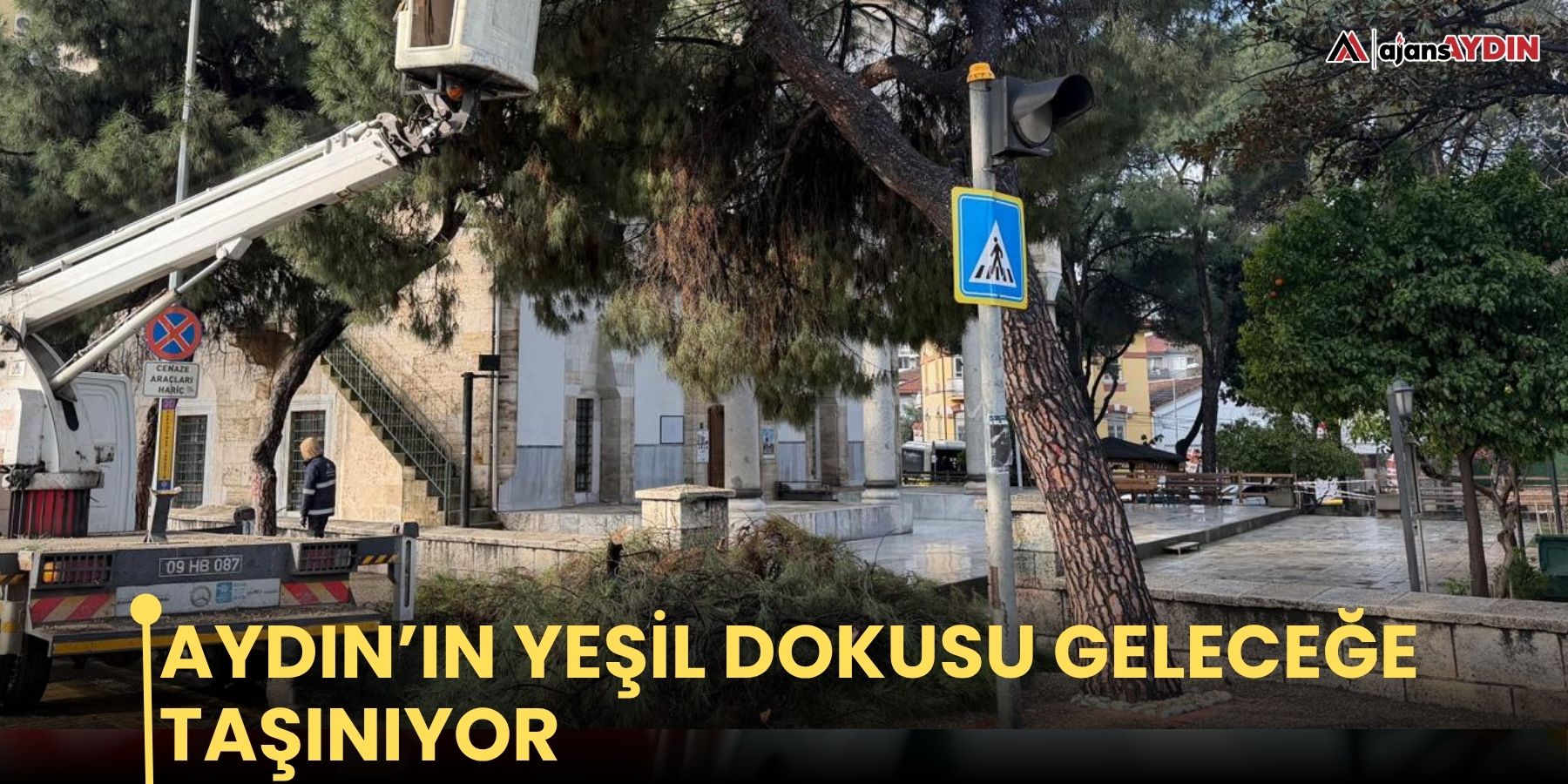 Aydın’ın yeşil dokusu geleceğe taşınıyor