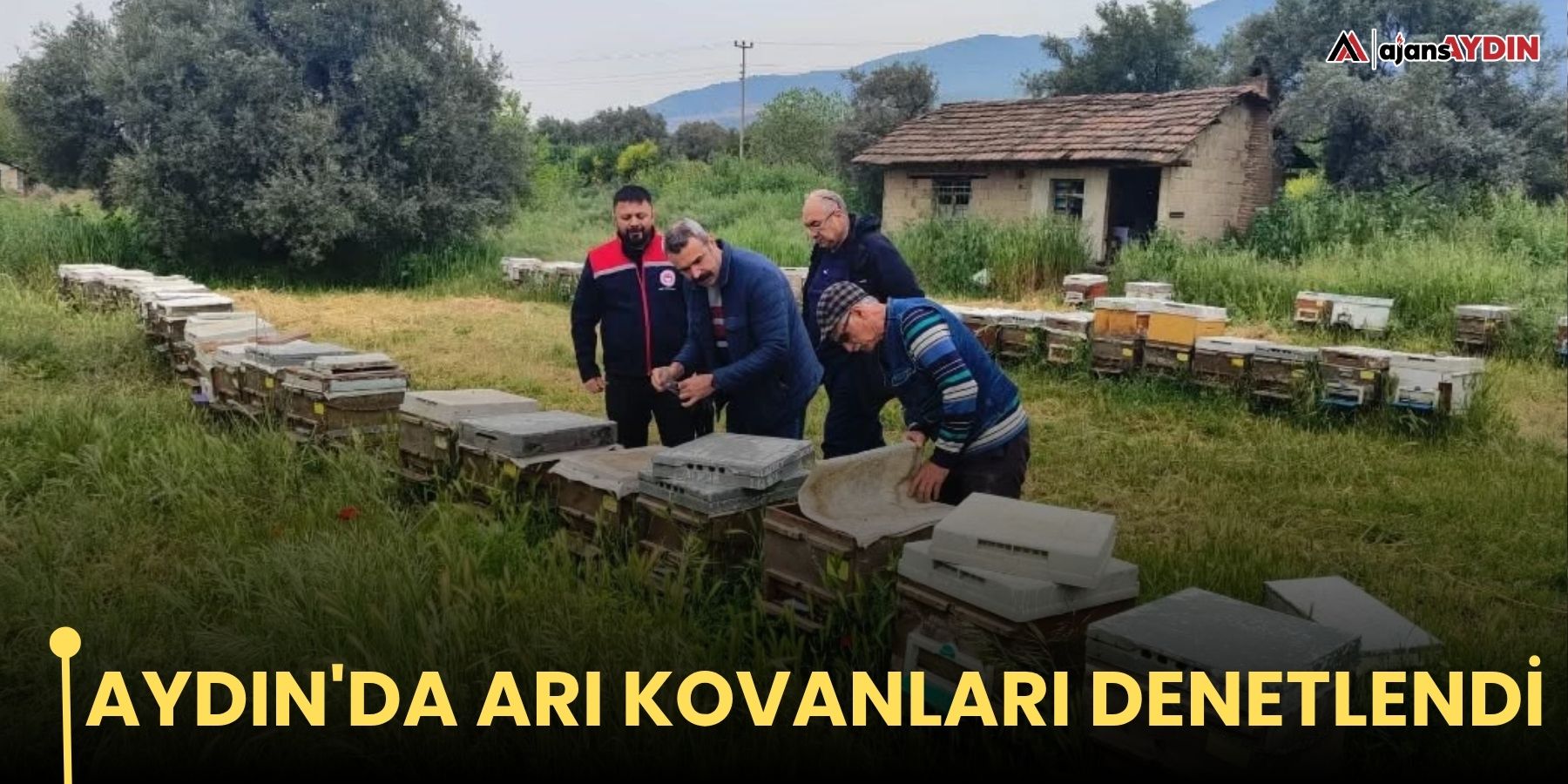 Aydın'da arı kovanları denetlendi