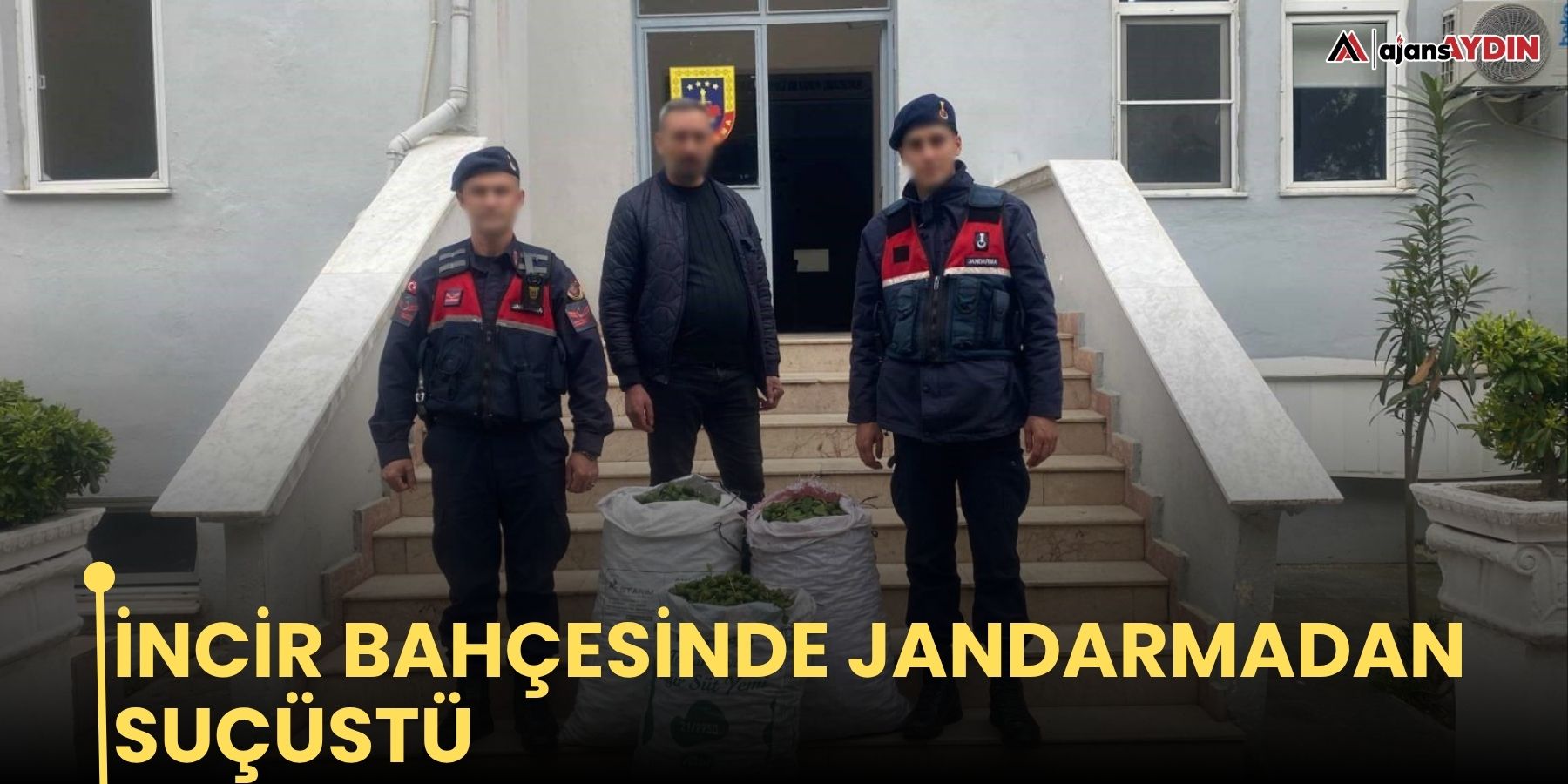 İncir bahçesinde hırsıza jandarmadan suçüstü